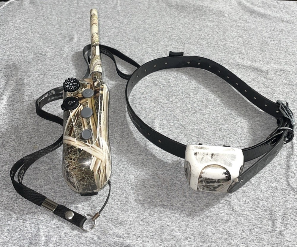 DT Systems R.A.P.T 1400 Remote Control Dog Training Collar System