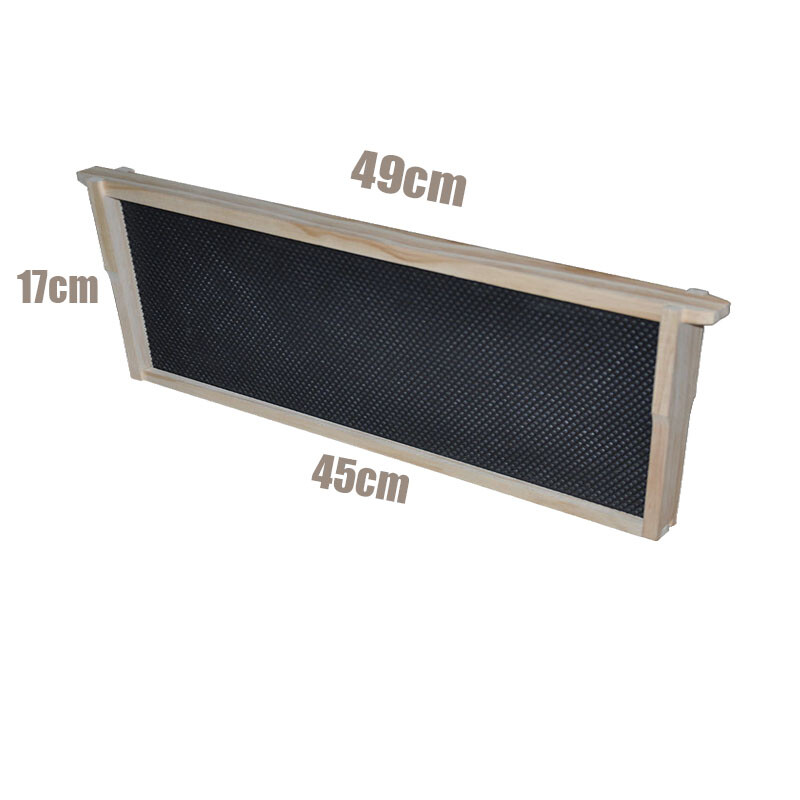 1 Layer Beehive Super Box Deep 10 Frame Wax Langstroth Beekeeping & 10X Frames