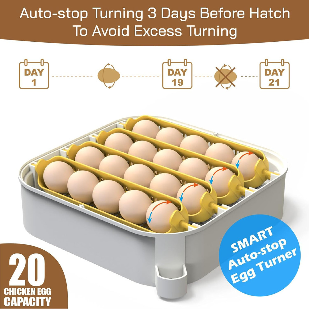 20 Egg Incubator with Humidity Display, Egg Candler, Automatic Egg Turner, for H