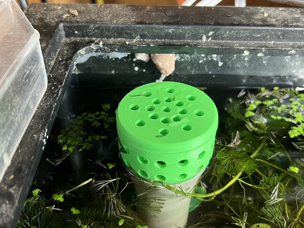 Custom Aquarium Strainer