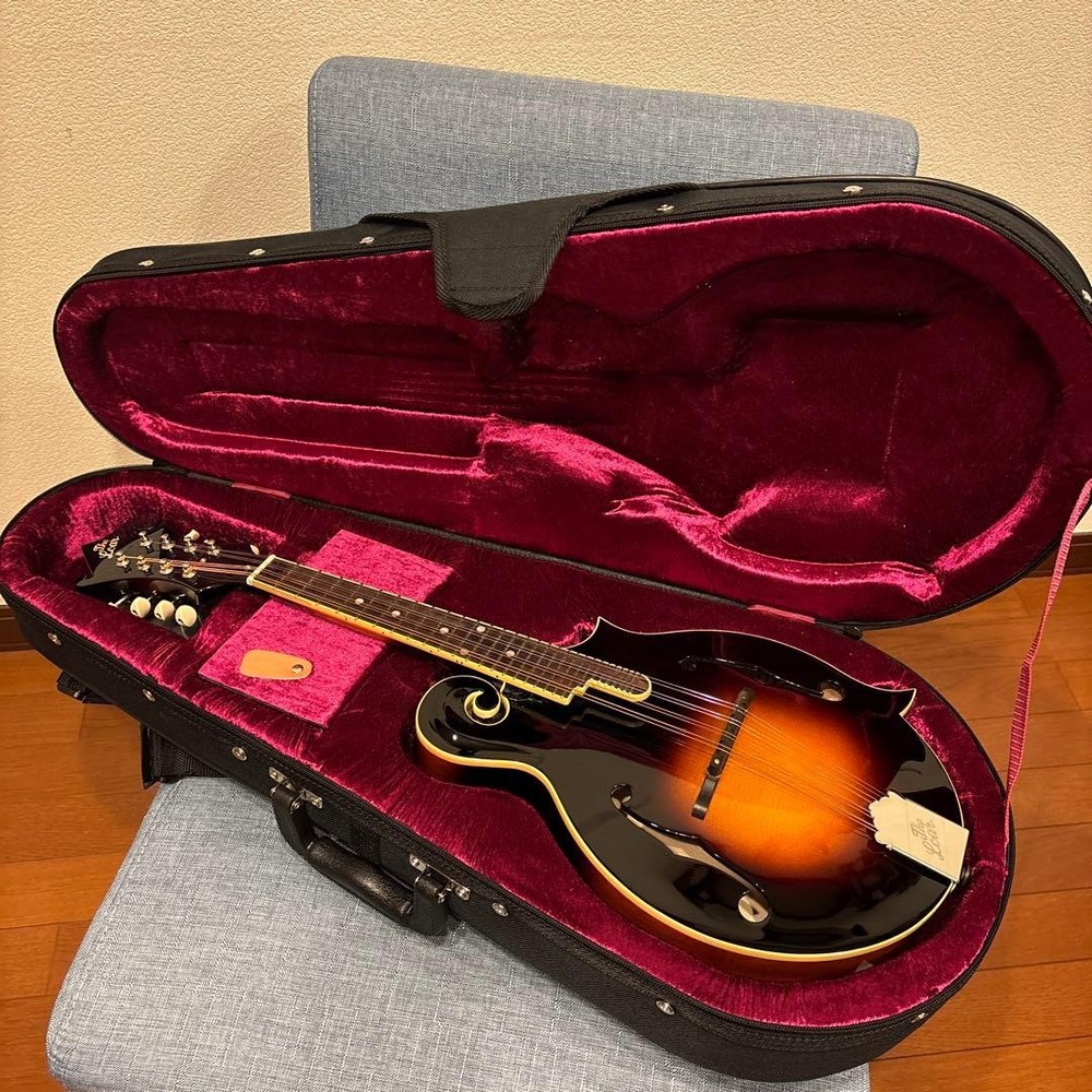 LOAR LM-520-VS flat mandolin