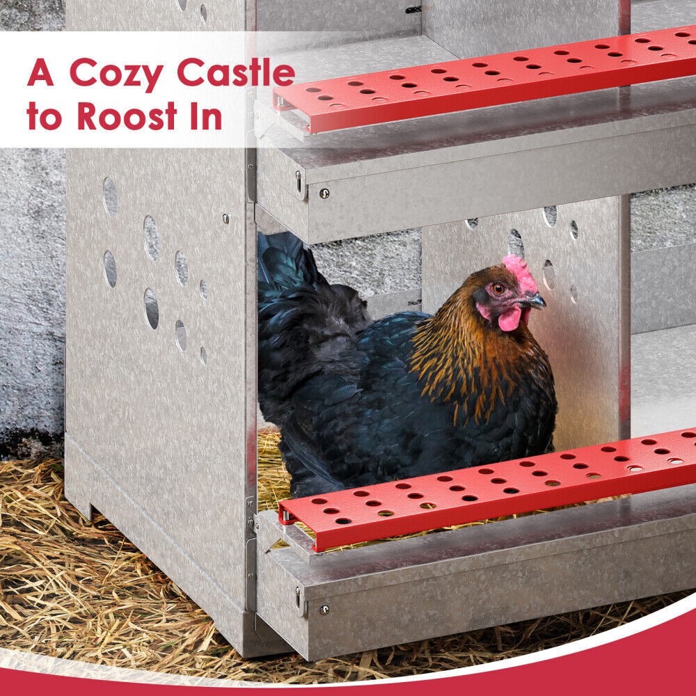 6 Hole Chicken Nesting Boxes Metal Egg Laying Brooding Box With Vent Hole Set