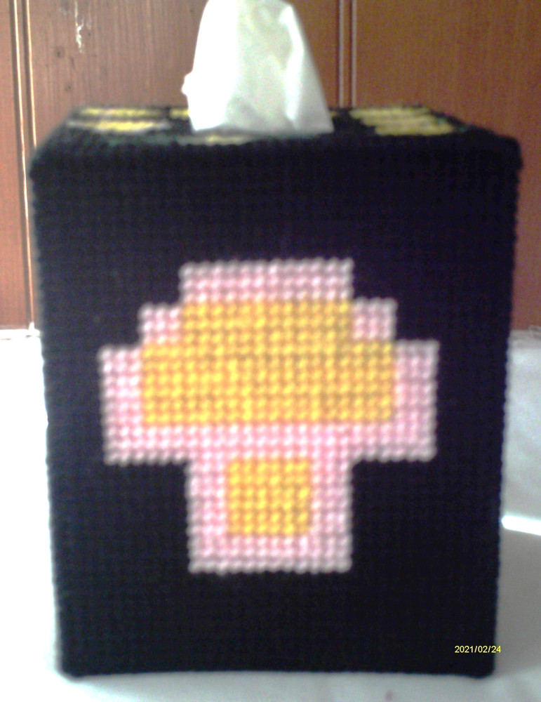 "Centipede" Tissue Box Cover (Plastic & Yarn) Finished