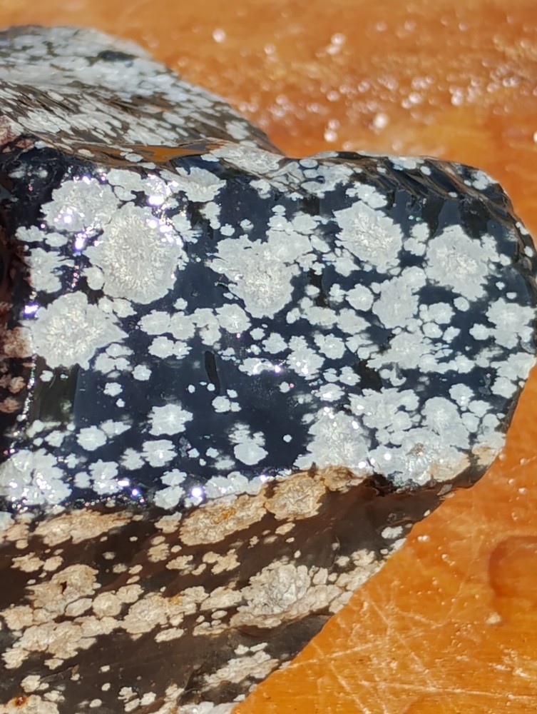 Snowflake Obsidian Rough Specimen