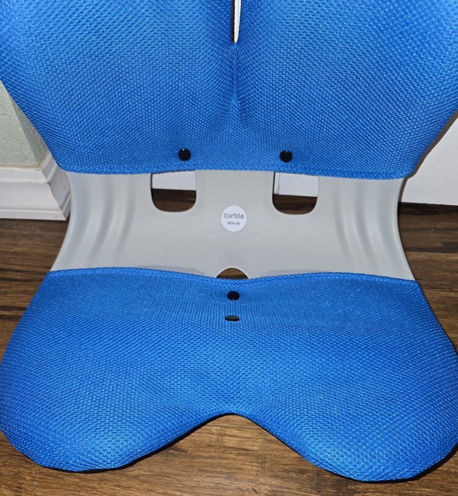 Curble Ablue Chair Back Support Posture Corrector Back Pain Relief