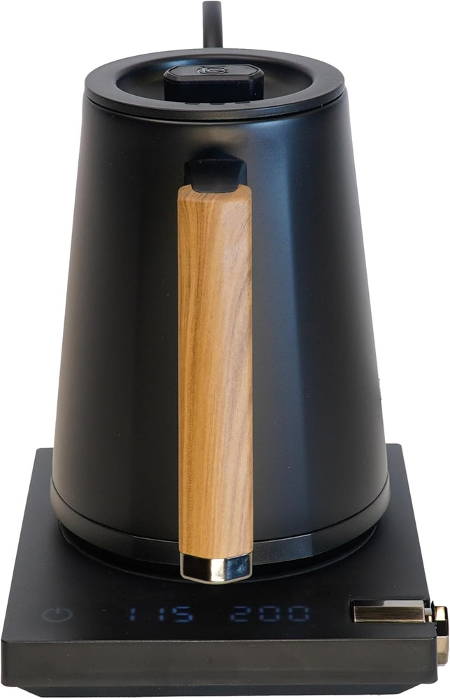 Turin Electric Gooseneck Kettle - 600ml with Temp Control & Fast Heating