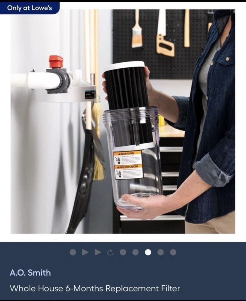 A.O. Smith 6month Whole House Replacement Filter