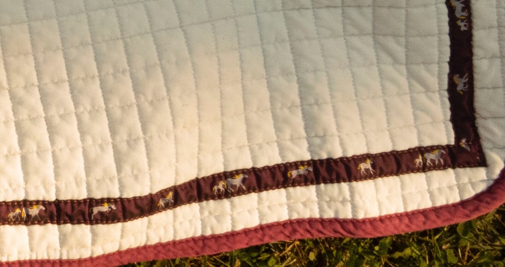 Saddle Pad White Used 22" Spine 21" Drop
