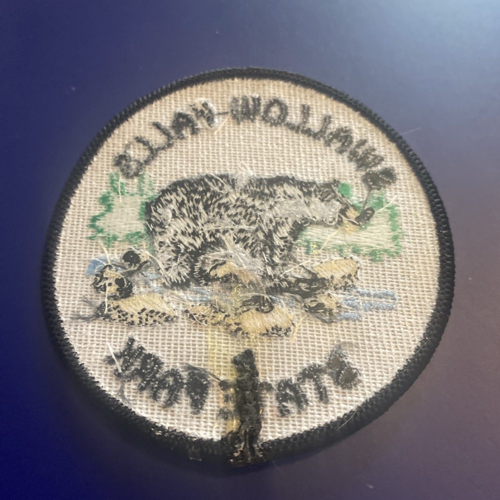 SHALLOW FALLS State Park Iron On Patch