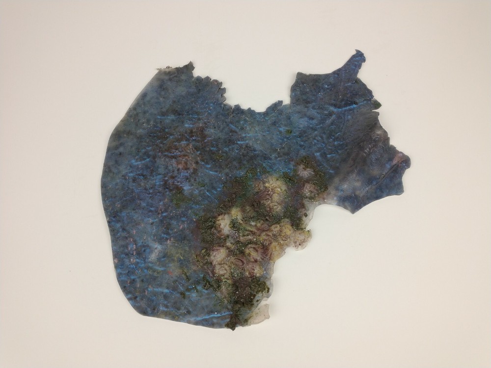 Siren: Mermaid Skin Appliance
