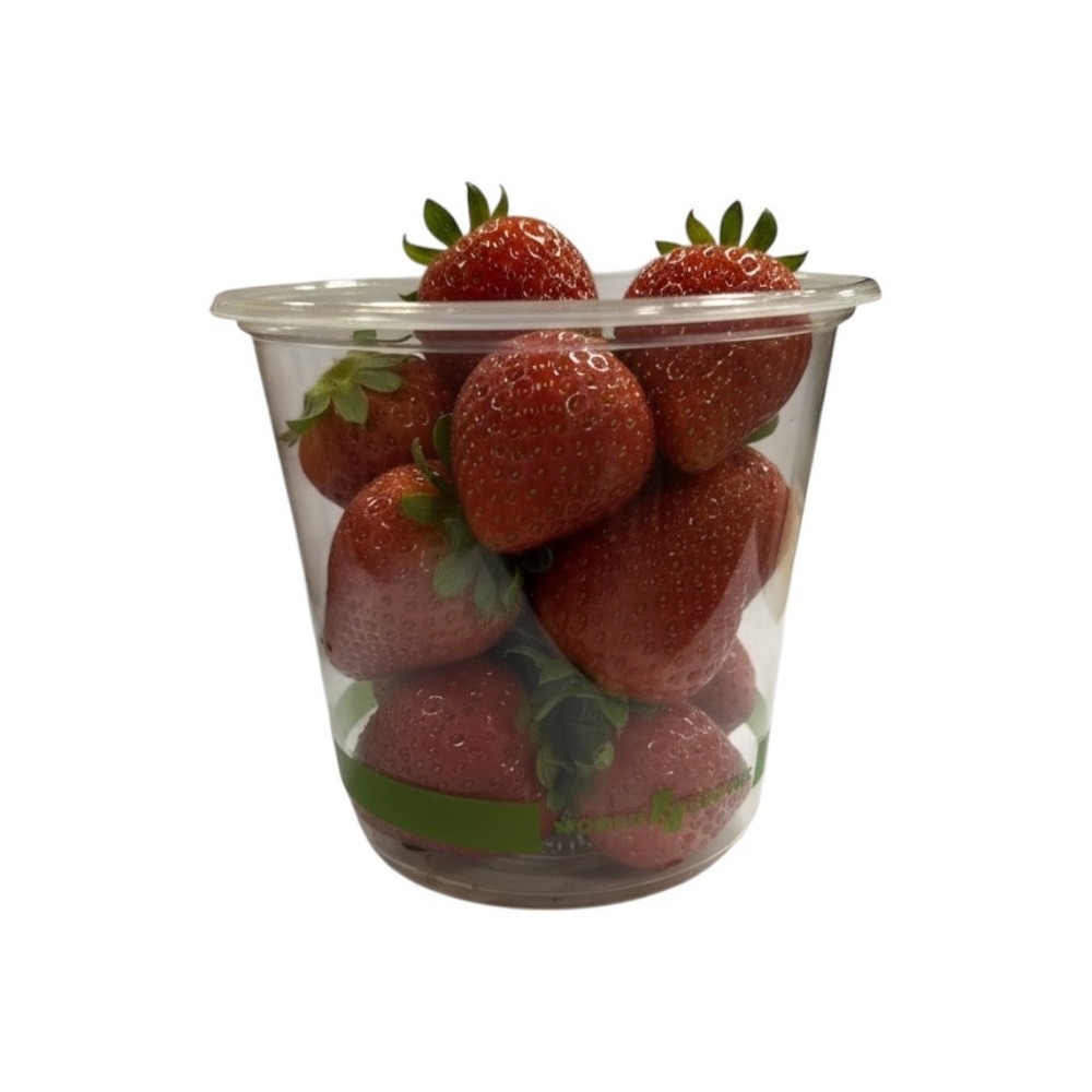 WORLD CENTRIC DC-CS-24 24oz round deli container case/500ct