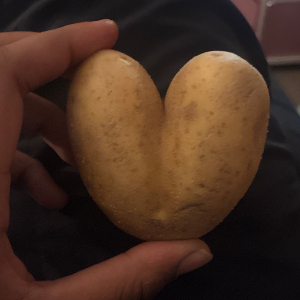 Heart-Shaped Potato Unusually Shaped Vegetable