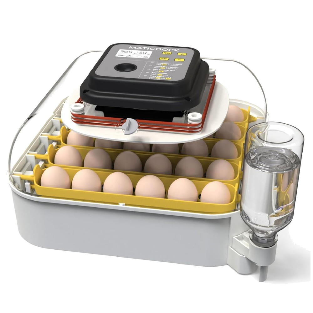 Egg Incubator with Humidity Display and Automatic Egg Turner