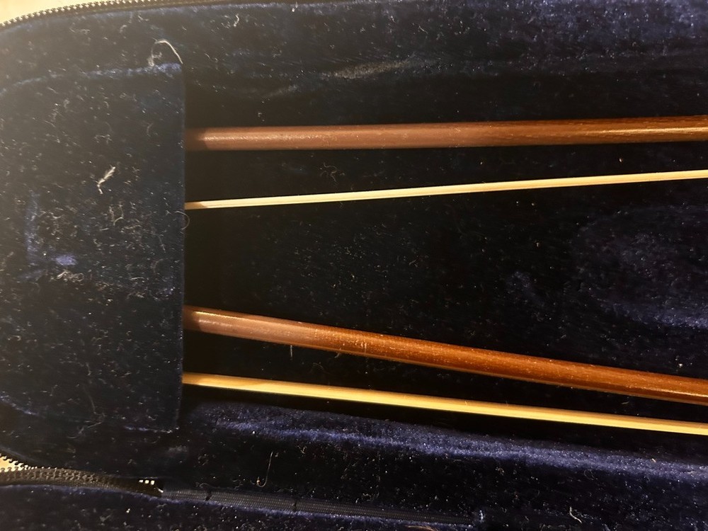 Maestro violin with two bows