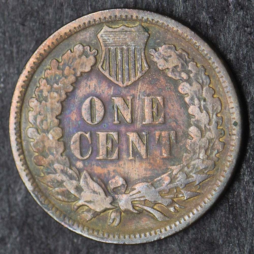 1883 "Toned" Indian Head Cent 1C - COINGIANTS -