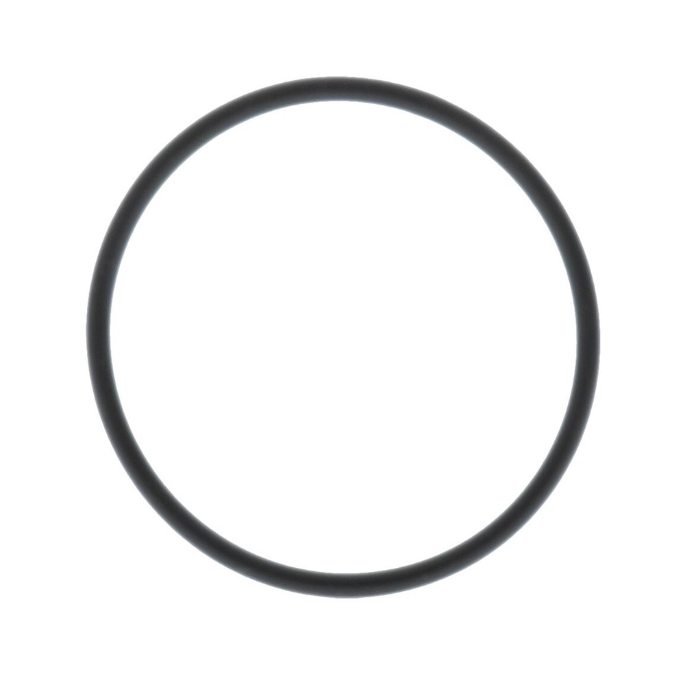 Irritec Replacement O-Ring for Canister Filter