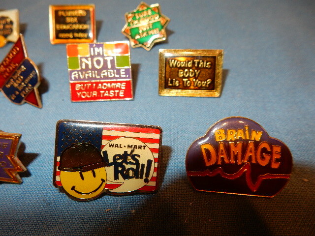 19 Brooch Pins