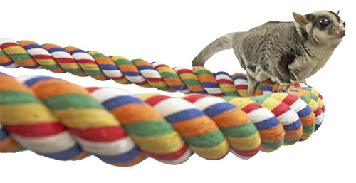 Flex Rope (Medium) (2 Pack) - Small Pet Cage Accessory - Sugar Glider, Marmoset