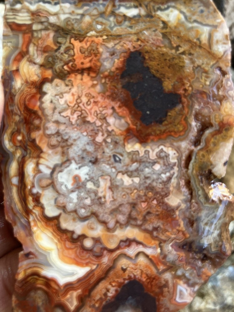 Crazy Lace Agate Slab