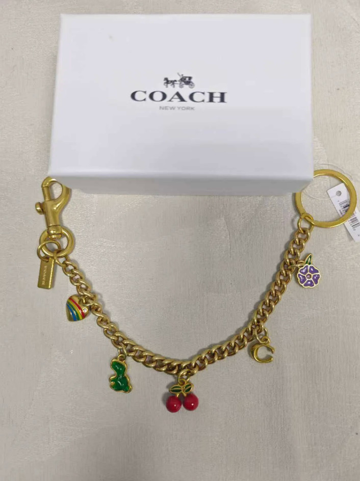 Motif Chain Coach Bag Charm