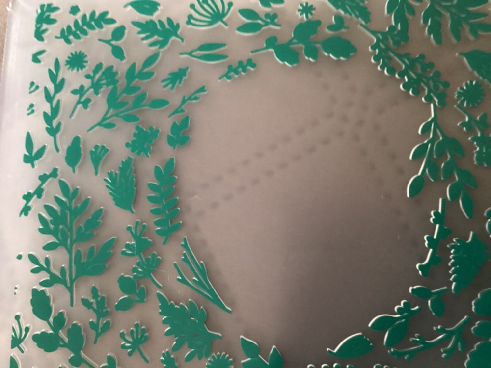 Leaves Frame Embossing Folder