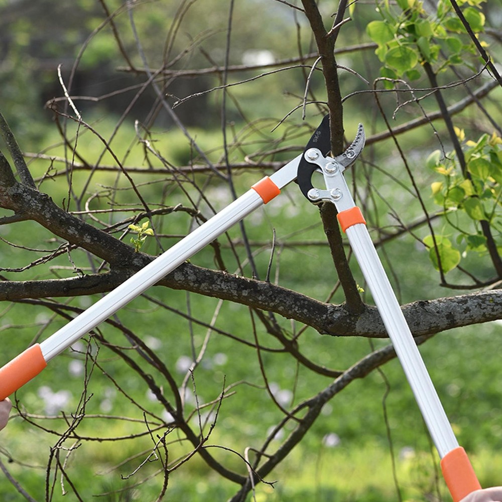 Professional Anvil Loppers Ratchet Pruning Shears Sharp Gardening Tool Kit