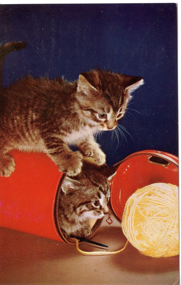 KITTENS & THE YARN - PC915