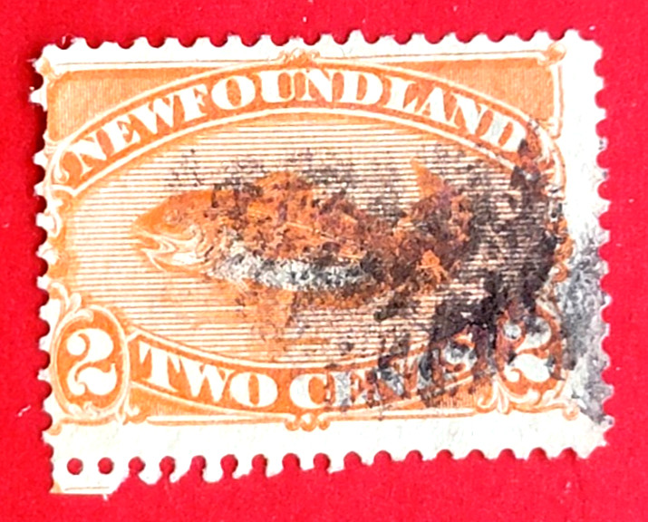 Canada Newfoundland #48 Codfish Used