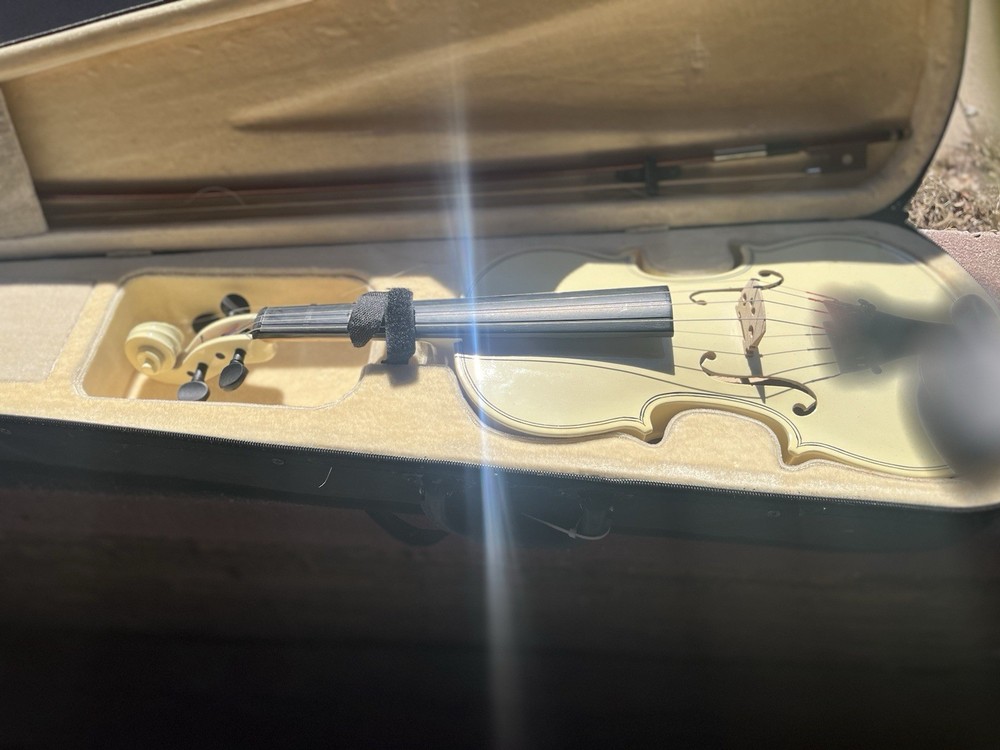 Student Violin 4/4 Size with Case Unbranded
