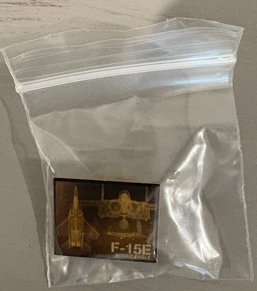 BOEING F-15E "STRIKE EAGLE" LAPEL PIN