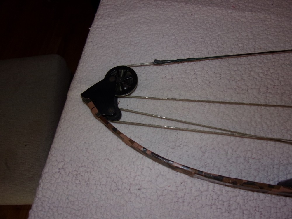 Vintage Bear Whitetail Hunter Compound Bow