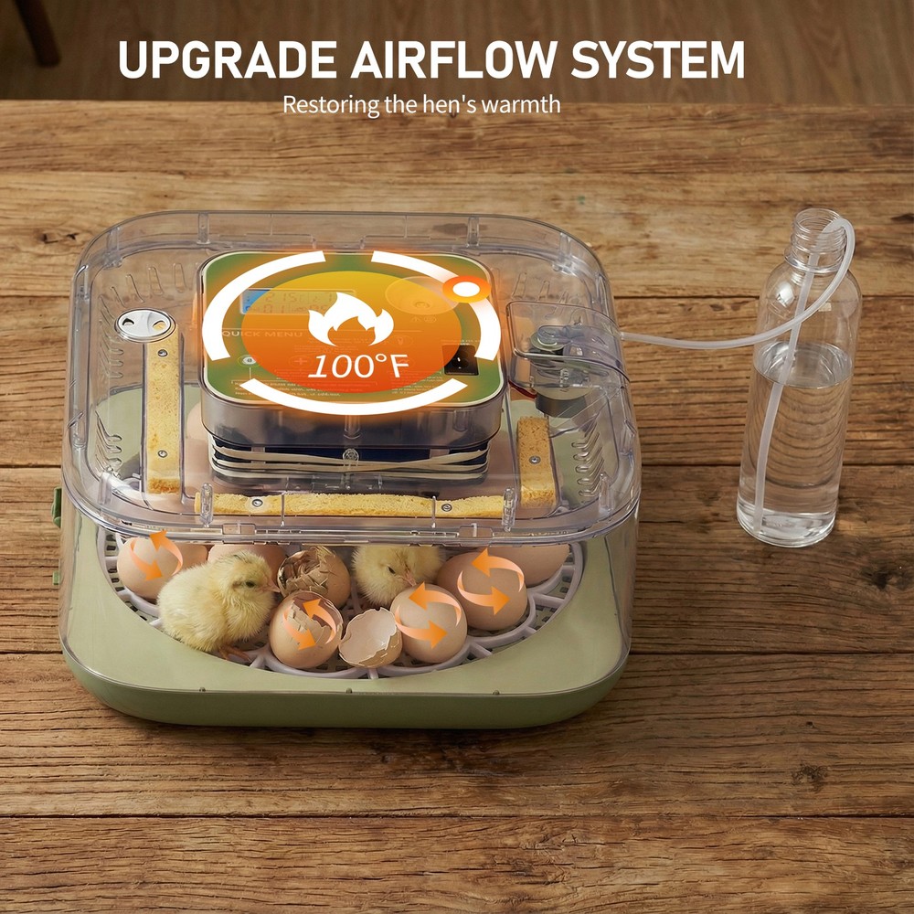12 Eggs Incubator Automatic Digital Chicken Egg Hatcher Temperature Control