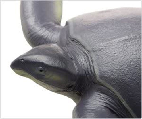 Archelon Soft Model Figure Prehistoric Life Favorite