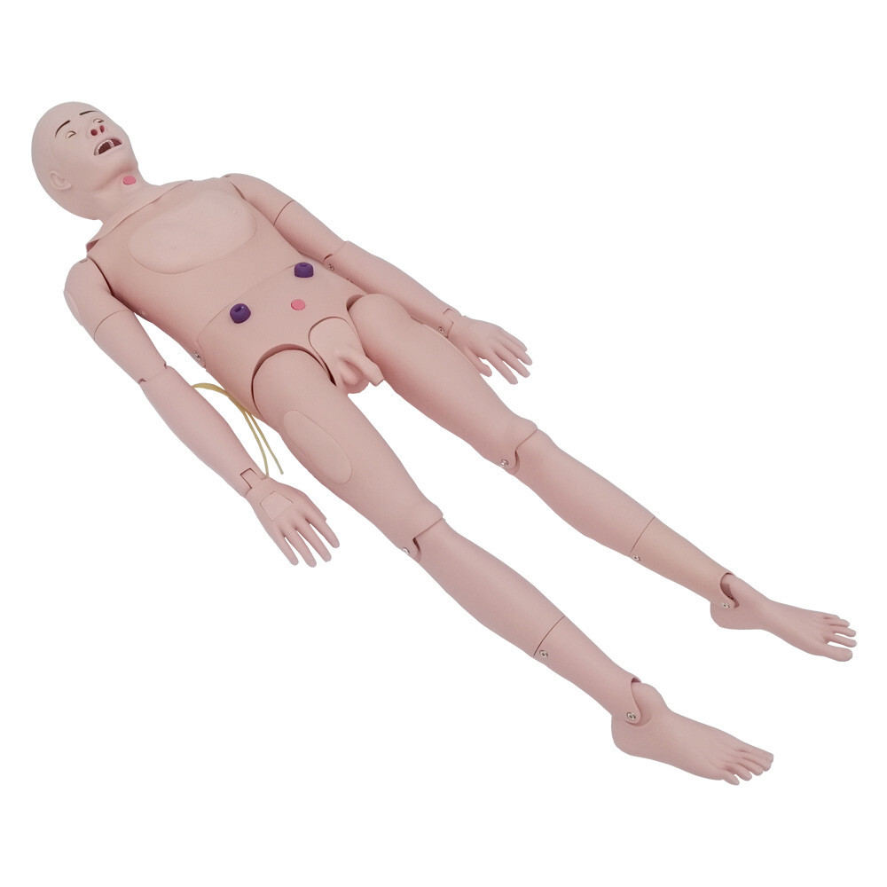 Patient Care Burn Teaching Model 24 Wound Modules Care NursingTraining Model