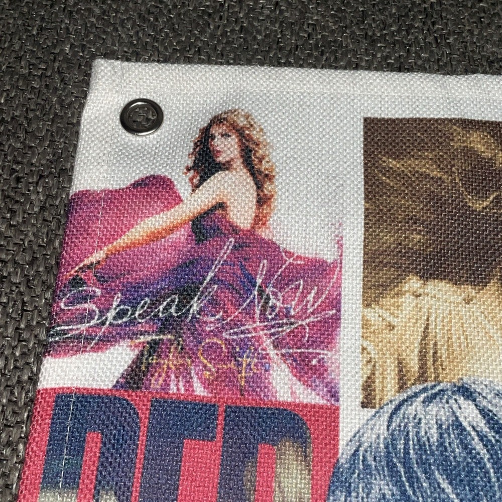 Taylor Swift Cloth Wall Hanging 18x12