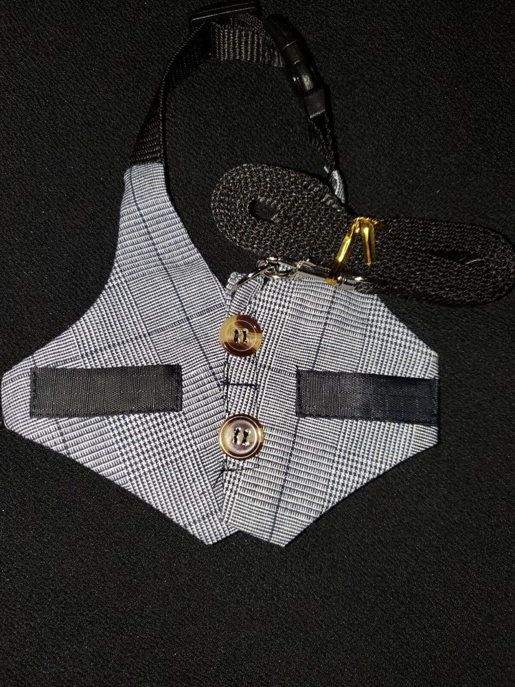 suit dog leash