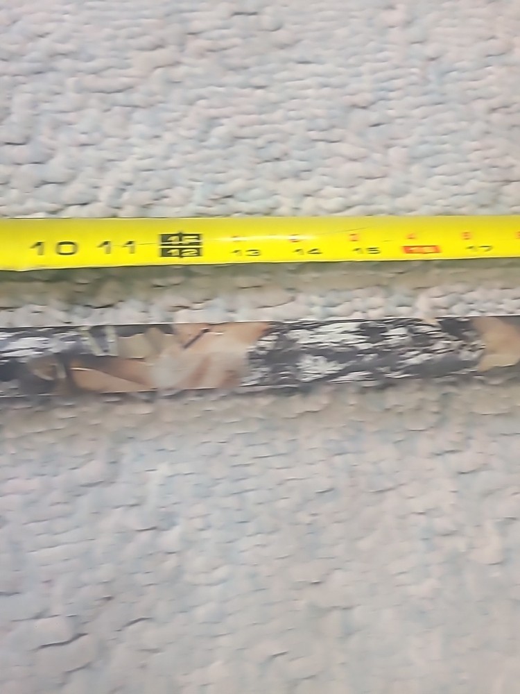 Mint Remington Genesis Inline Muzzleloader Barrel - 28 " 50 Cal Mossy Oak Break