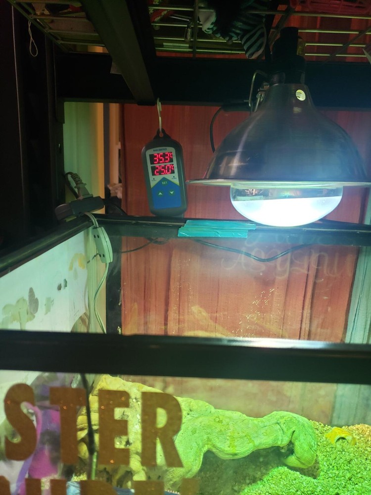 Inkbird 306 Digital Temperature Controller Heater Thermostat Switch Timer 110V