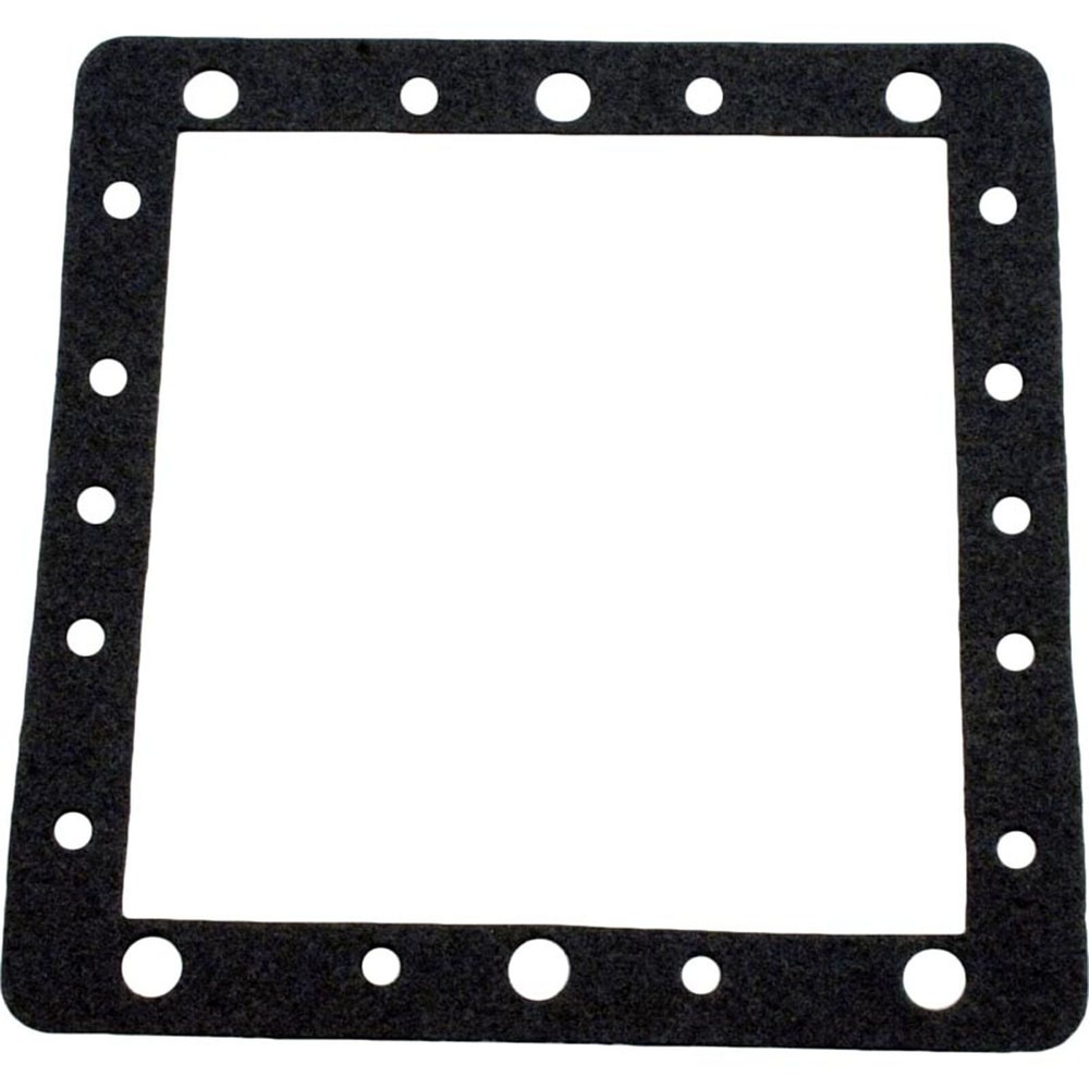 Gasket, Waterway FloPro/Front Access Skim Filter, Faceplate