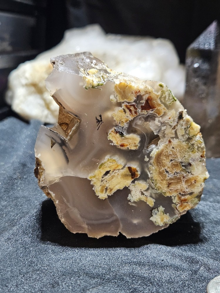 Pink Limb Cast w/ Opal & Dendric Specimen (15oz)
