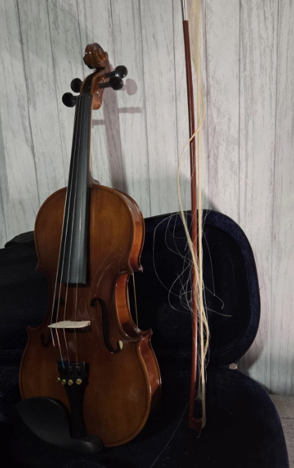 Pyle Solid Wood Violin Stringed Instrument-Student Grade Violin w/ Accessory Kit