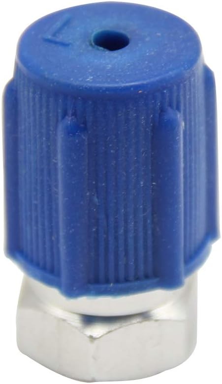 To R134a Conversion Kit, with Dust Cap, Fast Quick Conversion Adapter Switch, Ad
