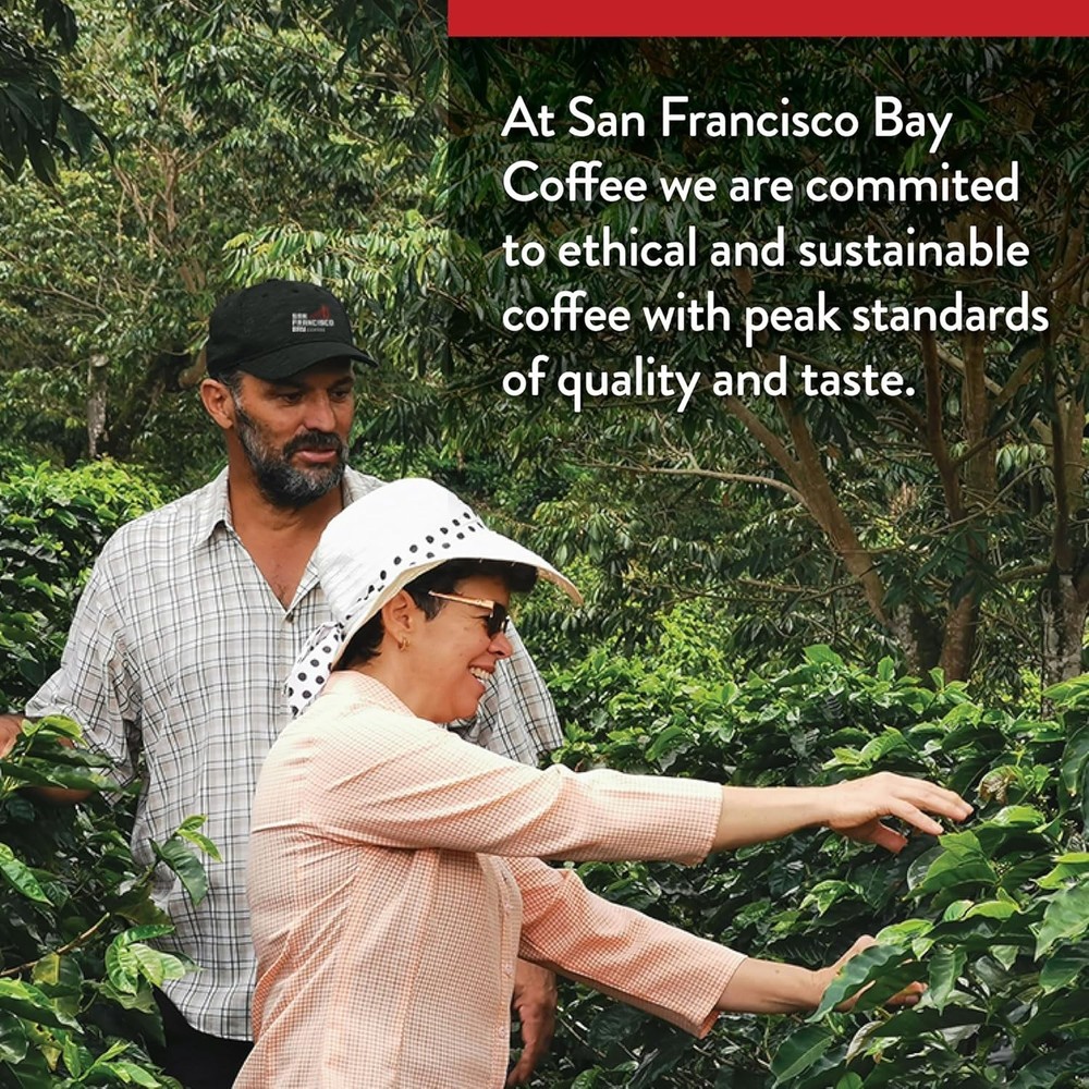 Coffee OneCUP Organic Rainforest Blend 36 Ct Medium Roast Compostable
