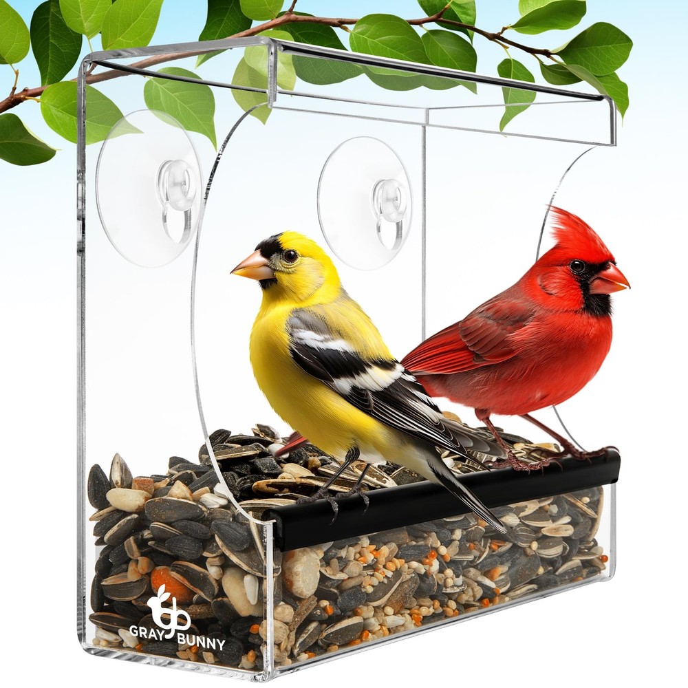 Clear Window Bird Feeder - Premium for Outdoors with Strong