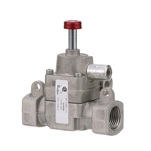 TS11K-4521-1-0 - SAFETY VALVE