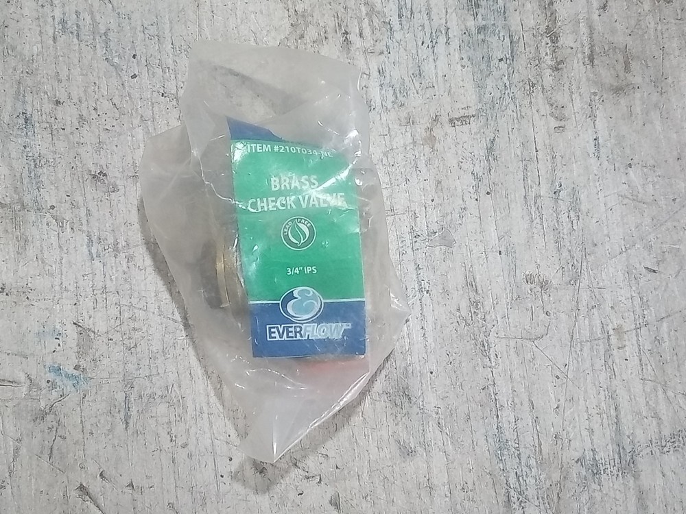 EVERFLOW 210T034-NL BRASS CHECK VALVE (O7B)