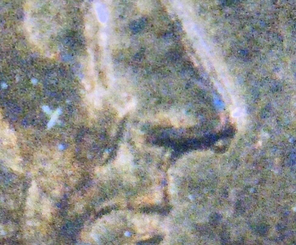 1983 P Lincoln Cent With Die Chip (boogie nose)