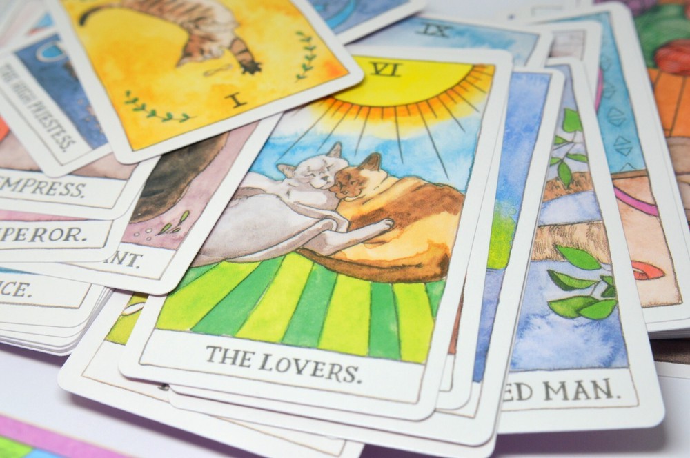 CAT ILLUSTRATED TAROT MAGIC WITCH WIZARD CARDS PACK BUNDLE