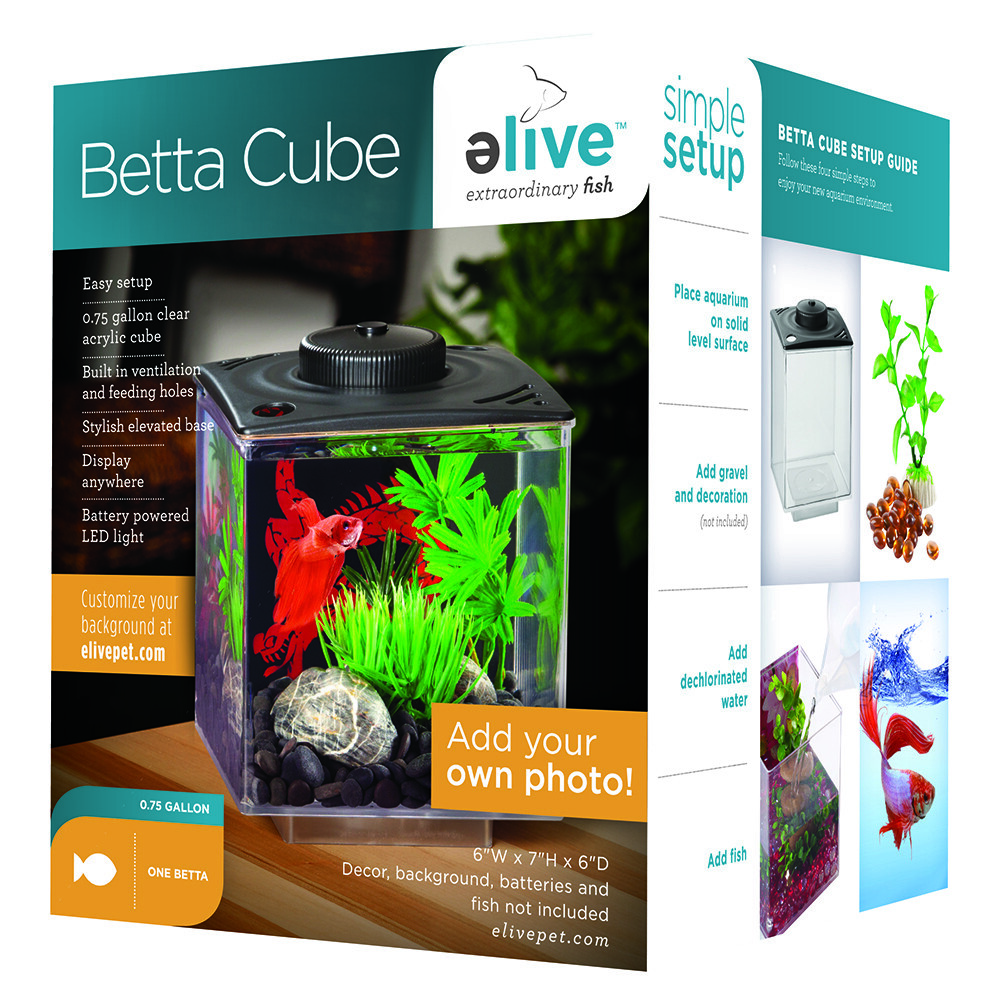 ELIVE 034160 Betta Cube with Led Light Black, 0.75 gallon