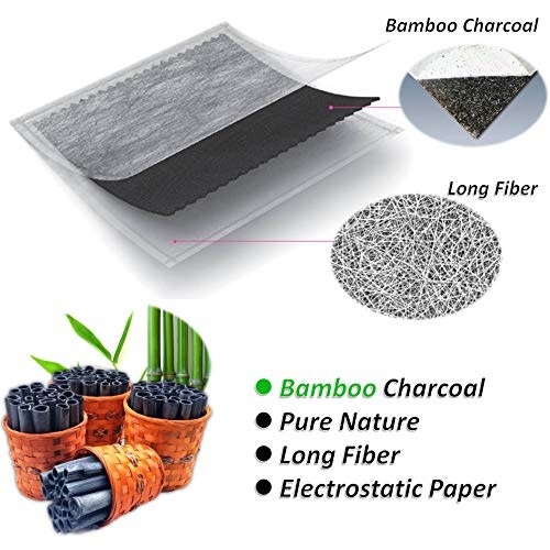 FD134 Cabin Air Filter for